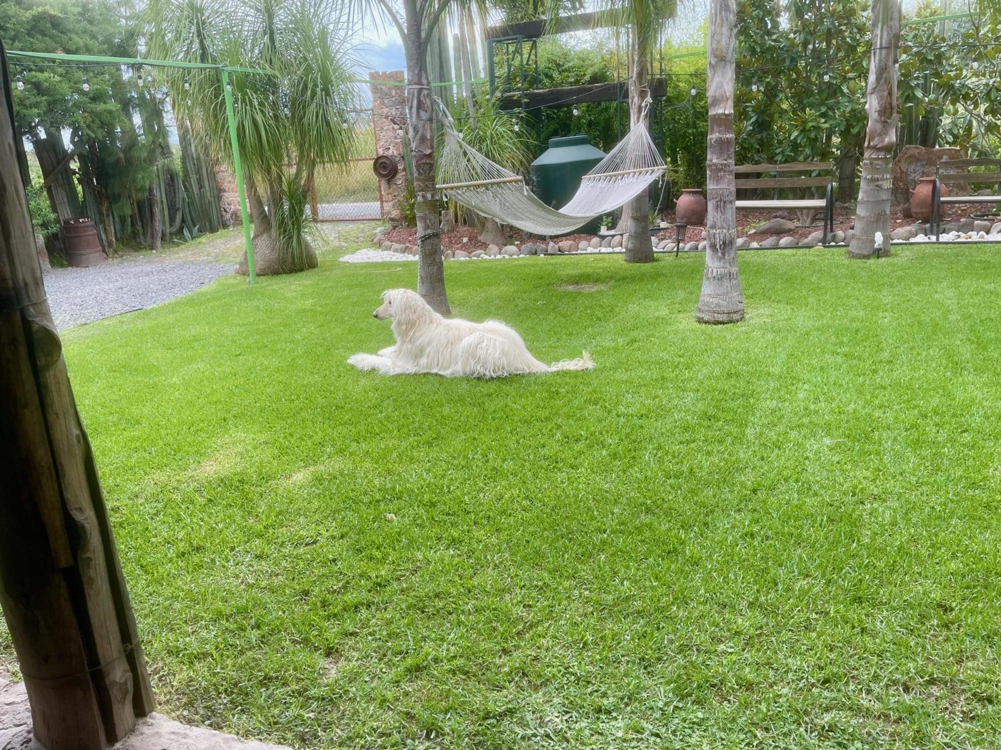 Cabana Magnolias Con Albercajacuzzi Tequisquiapan Eksteriør billede