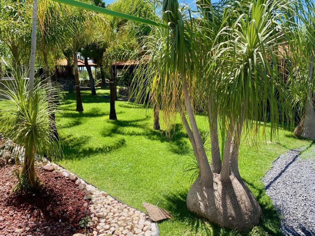 Cabana Magnolias Con Albercajacuzzi Tequisquiapan Eksteriør billede